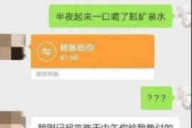 南充为什么选择专业追讨公司来处理您的债务纠纷？